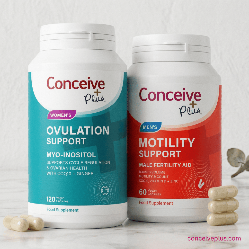 Best Fertility Supplements Couples